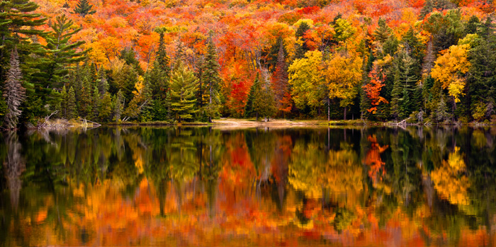 Couleurs d’automne reflétées dans les eaux d’un parc au Canada