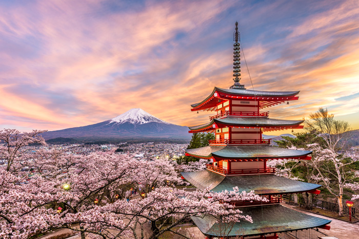 Mont Fuji au printemps avec des cerisiers en fleur