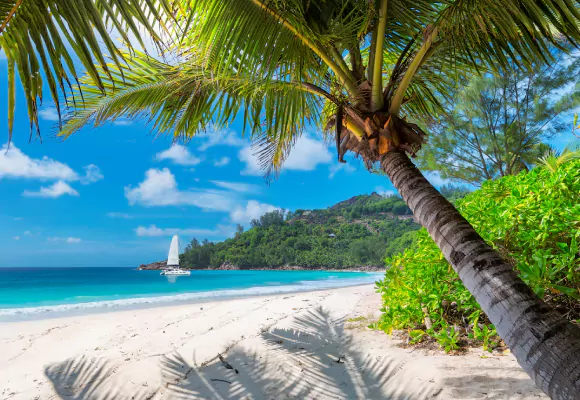 CARAÏBES